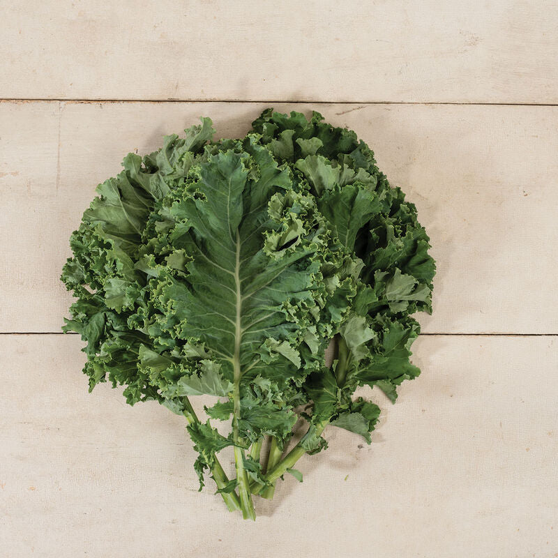 Kale Pesto (Copy)