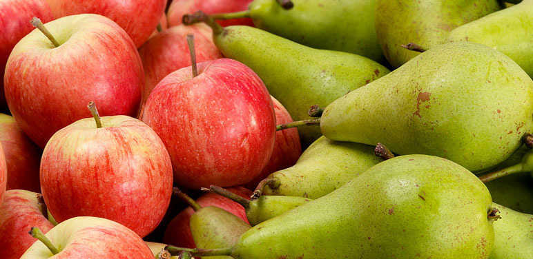 Apple Pear Spread