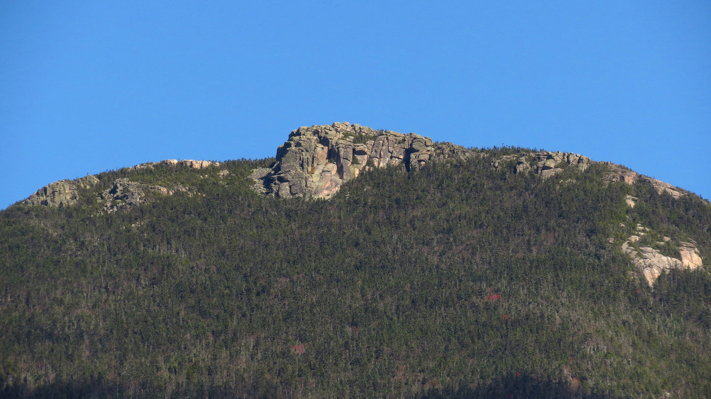 Mt. Liberty Light Roast Cold Brew Coffee