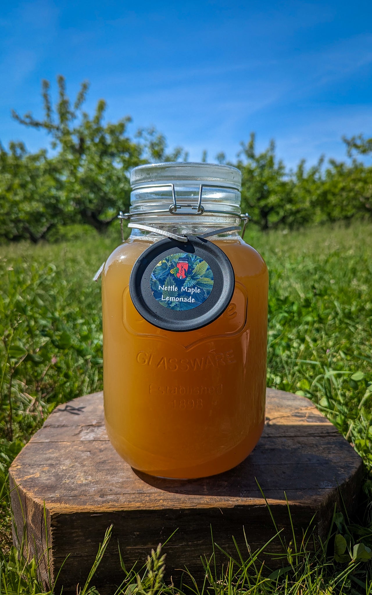 Nettle Maple Lemonade