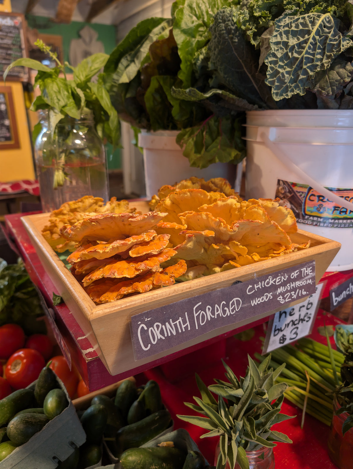 Pickled Chicken of the Woods