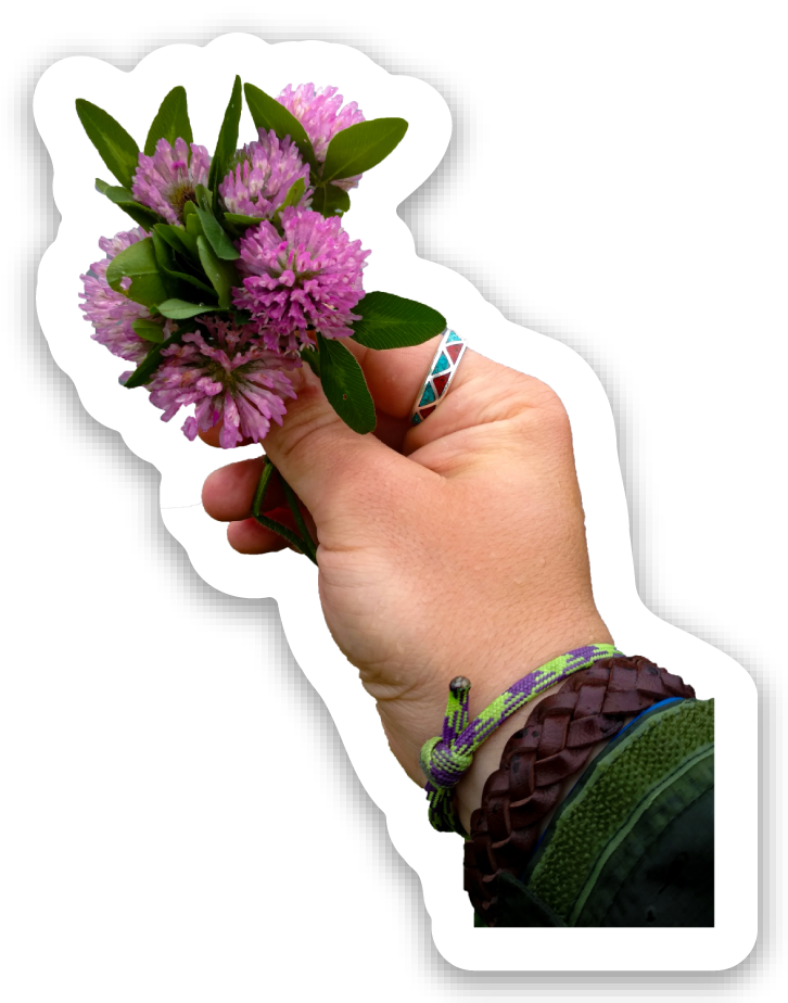 Red Clover- Honey