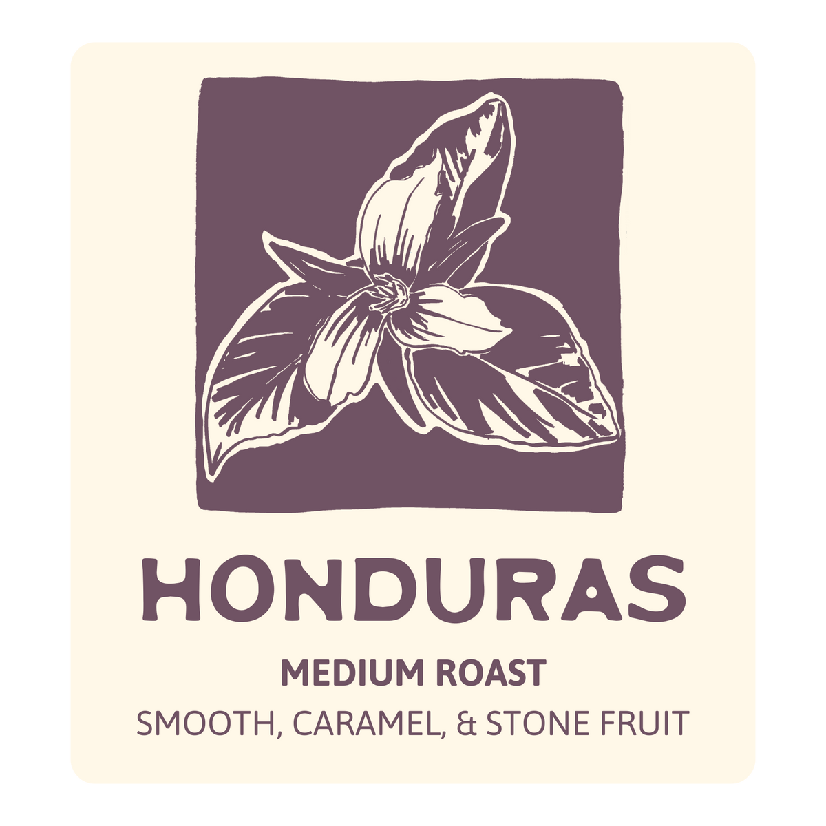 Marigold Medium Roast Flash Chilled Coffee