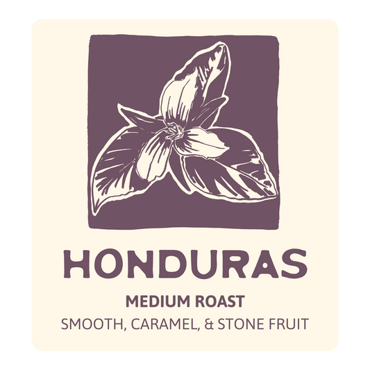 Marigold Medium Roast Flash Chilled Coffee