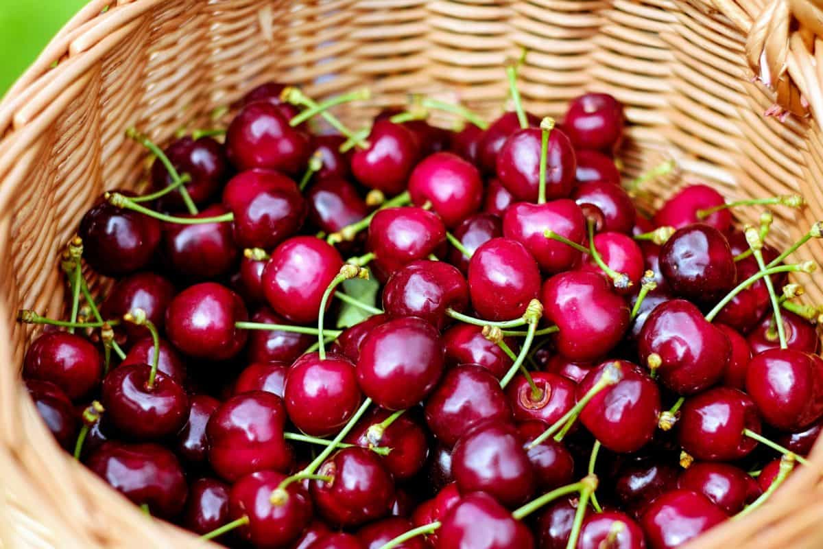 Sour Cherry Limeade