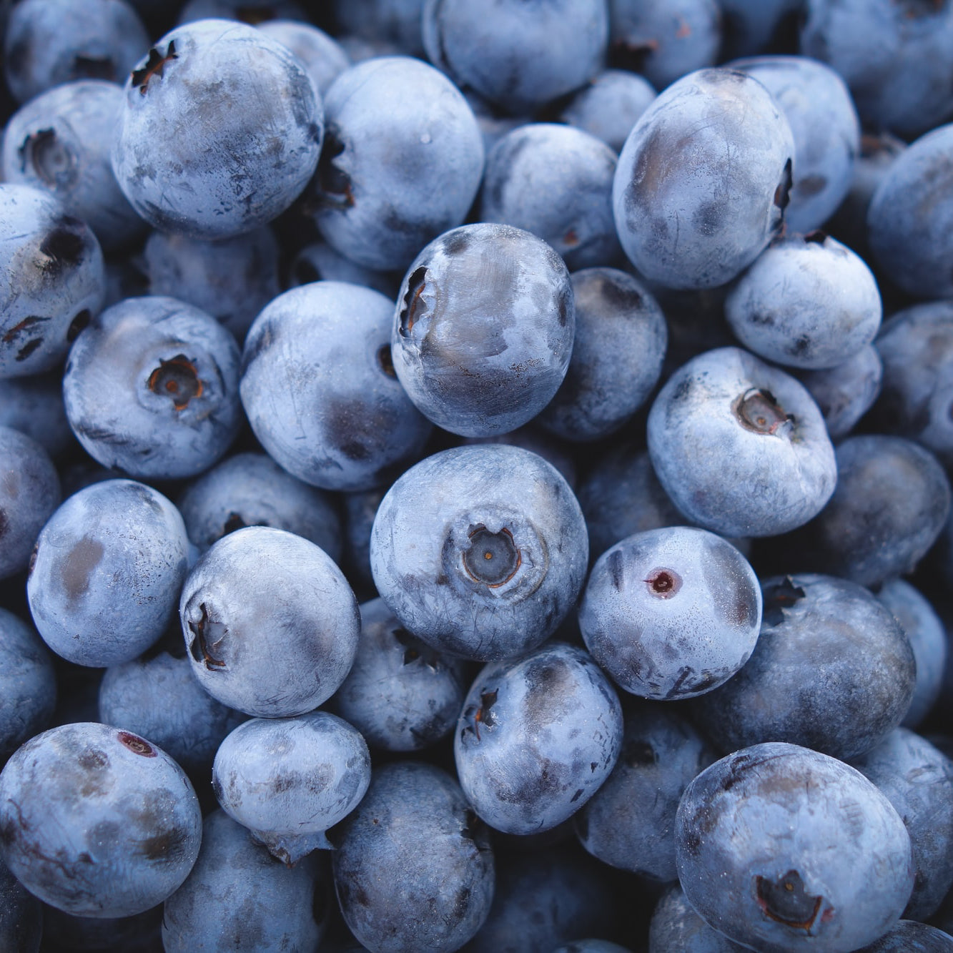 Blueberry Mint Water