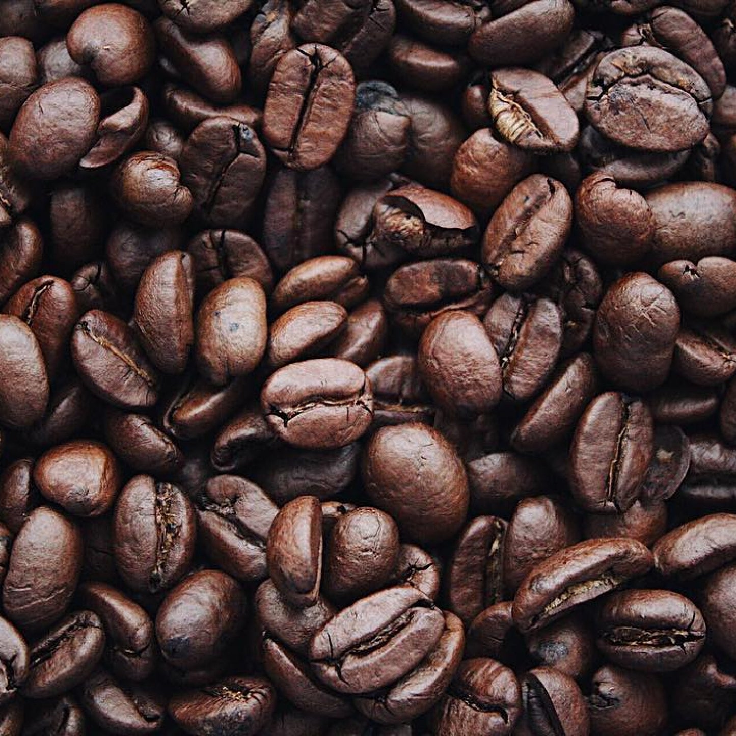 Dark Roast Coffee Beans (1LB)