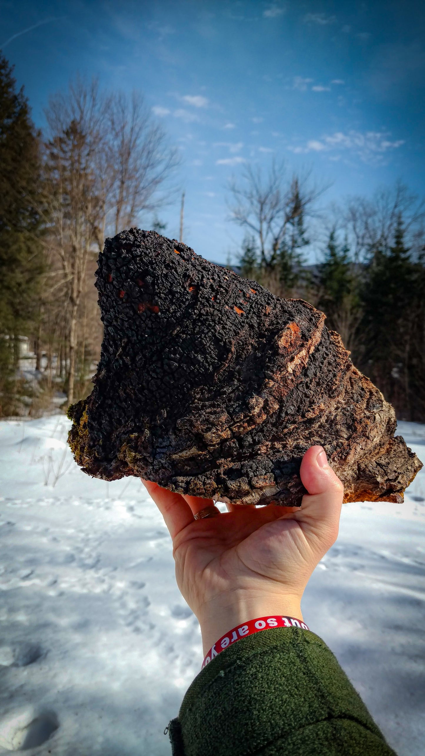 Chaga Powder
