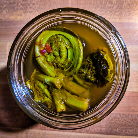 Zesty Pickled Fiddleheads