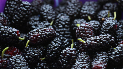 Maple Mulberryade