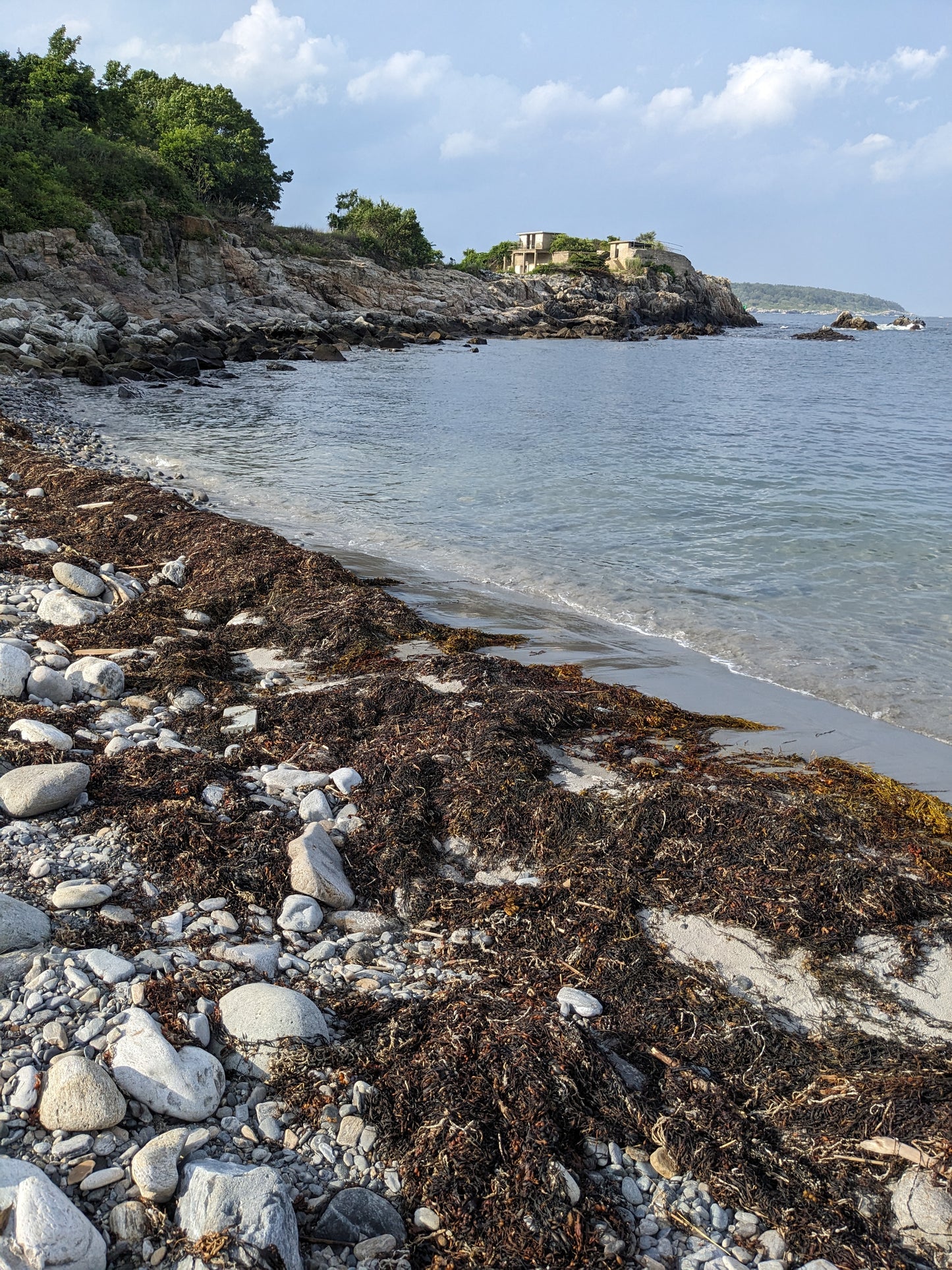 Salty Sea Honey Switchel