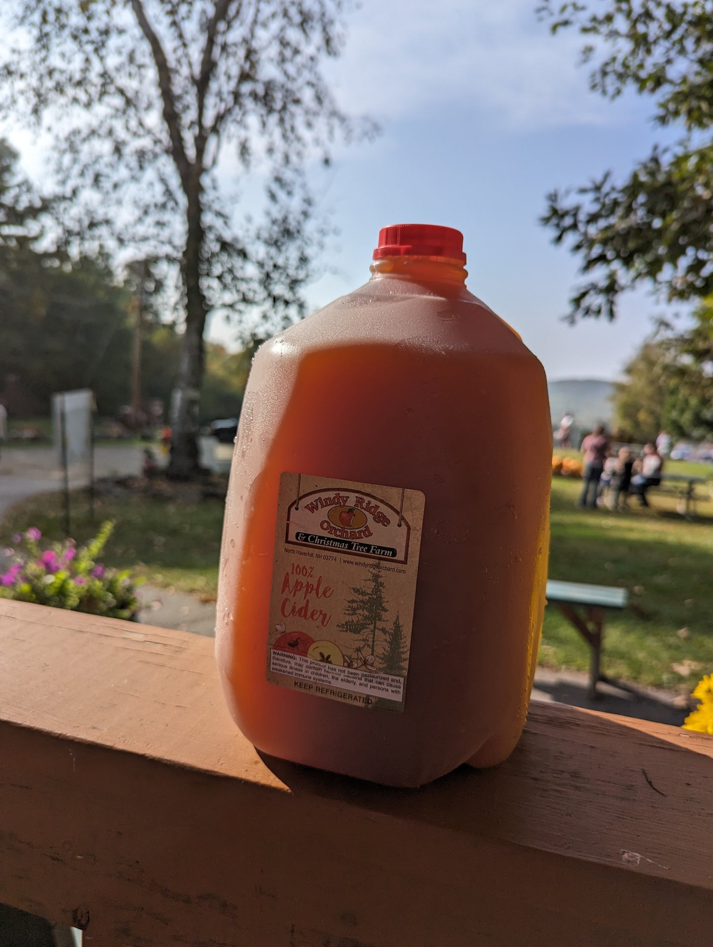 Maple Apple Cider