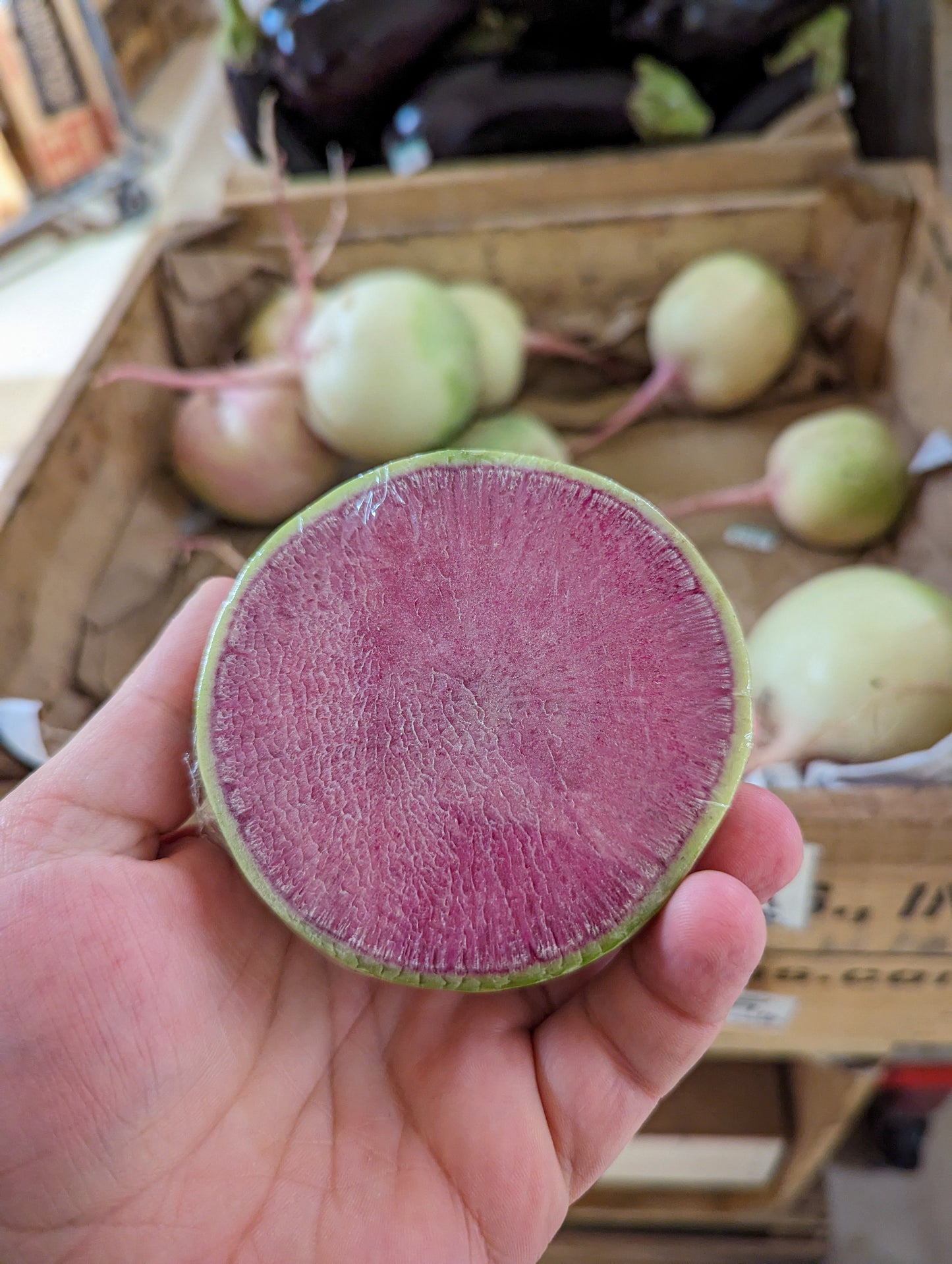 Pickled Watermelon Radish