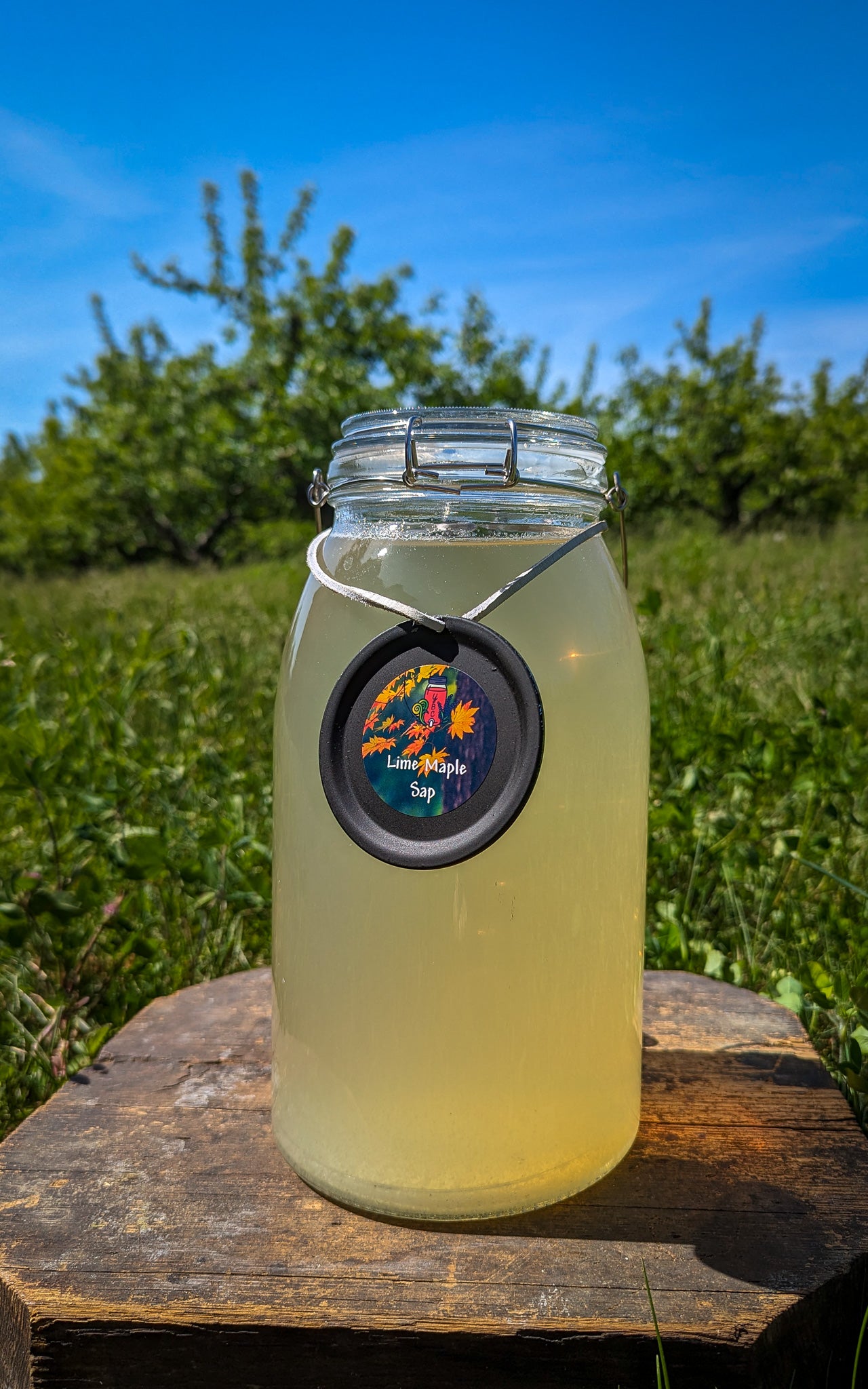 Lime Maple Sap