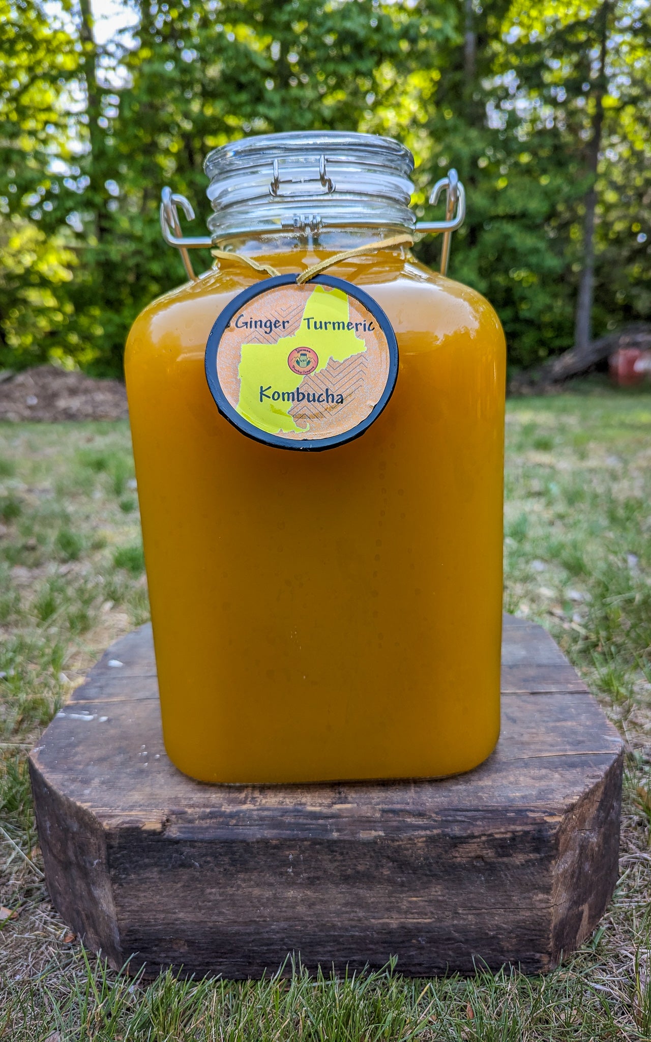 Ginger Turmeric Kombucha