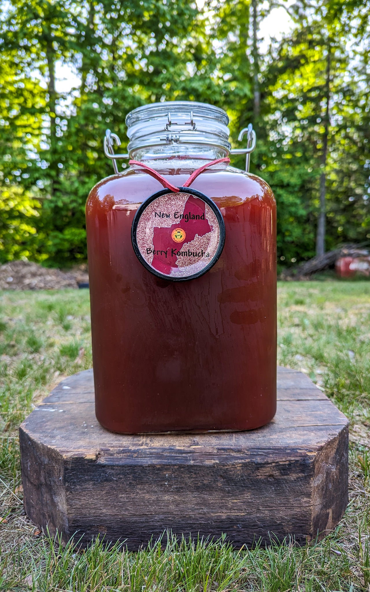 New England Berry Kombucha