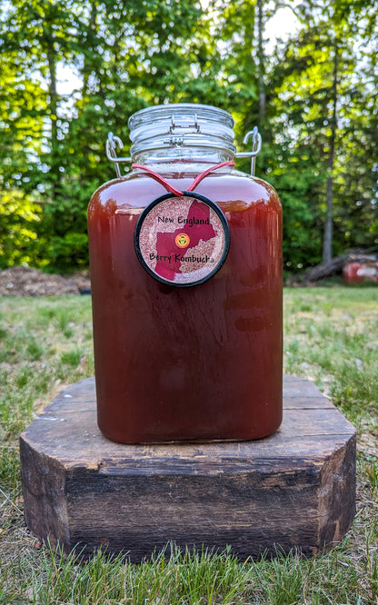 New England Berry Kombucha