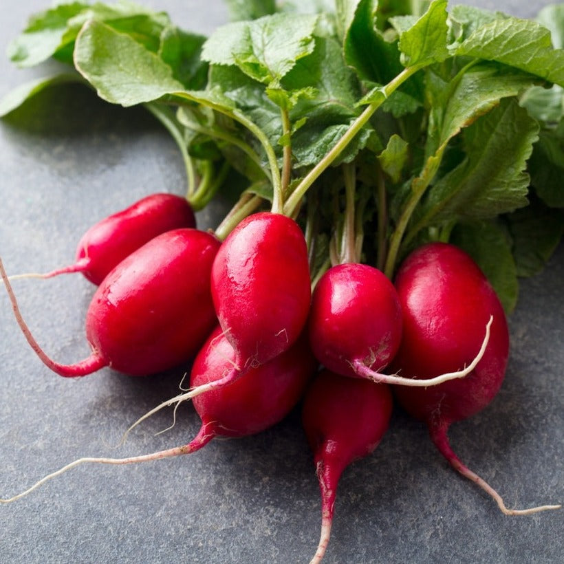 Sweet Spicy Pickled Radishes