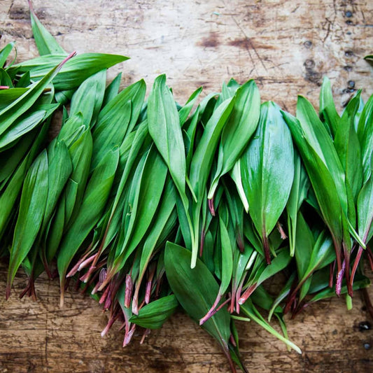 Ramp Pesto