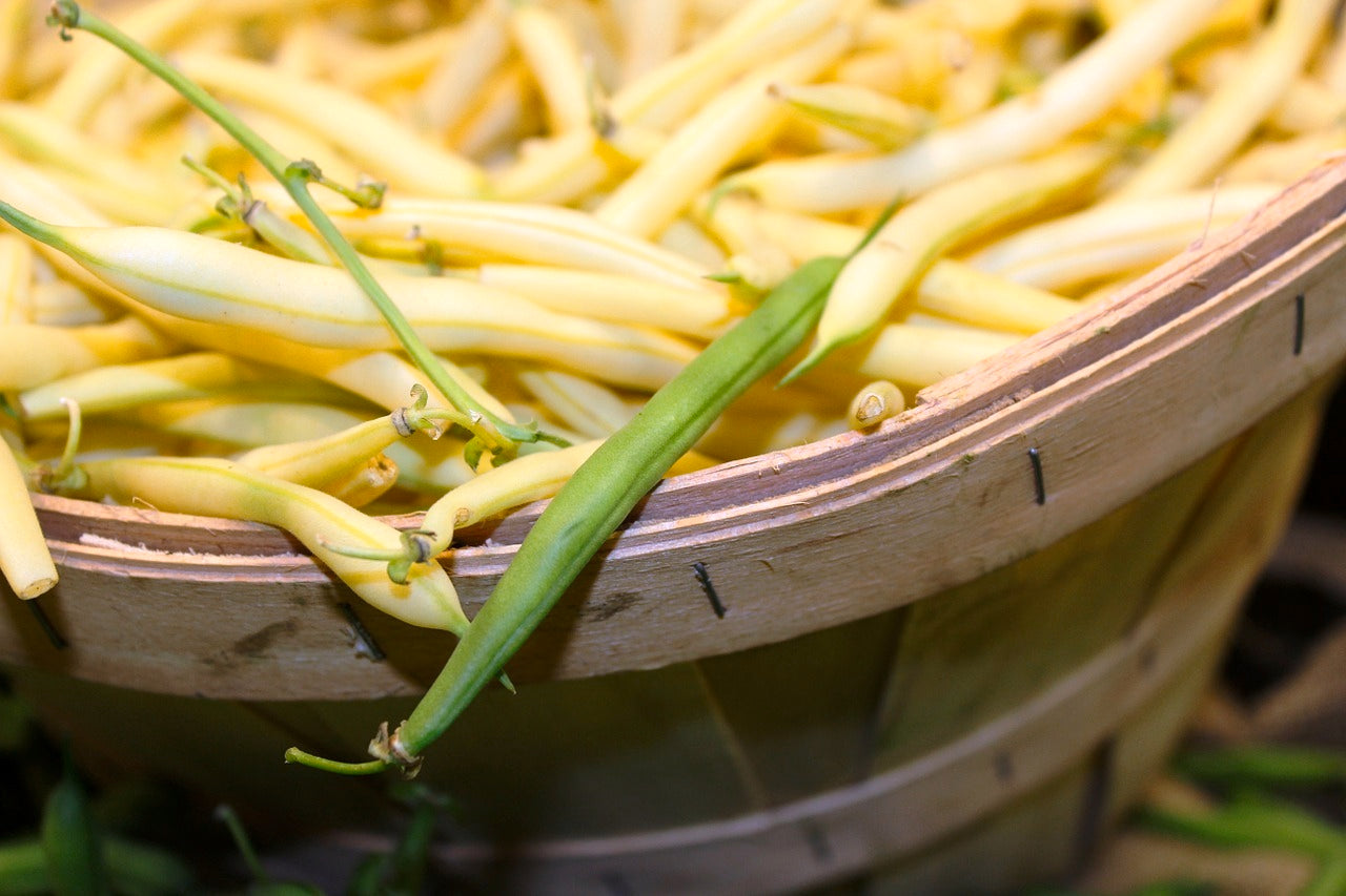 Pickled Dilly Beans