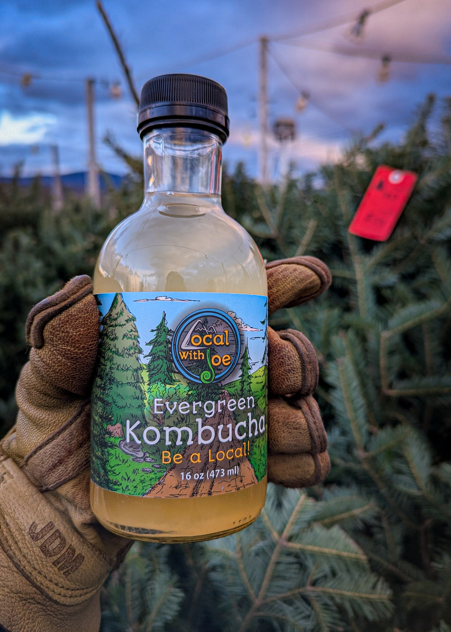 Evergreen Kombucha