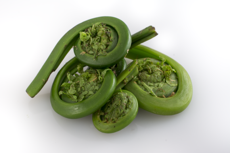 Spicy Pickled Fiddleheads