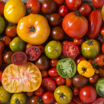 Pickled Tomatoes