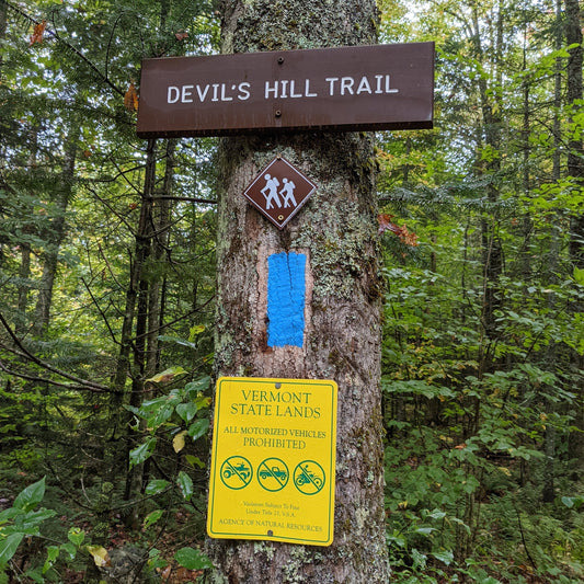 Devil's Hill Spicy Switchel