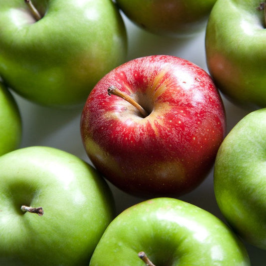 Apple Spice Kombucha