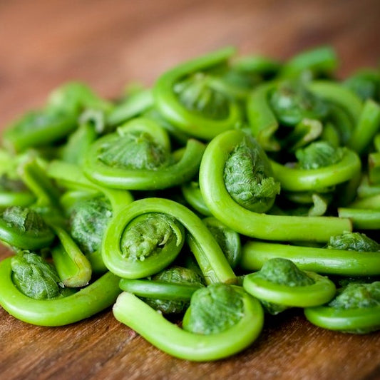 Bread and Butter Pickled Fiddleheads