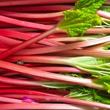 Rhubarb Lemonade